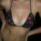 Cherry Stables Bikini Set